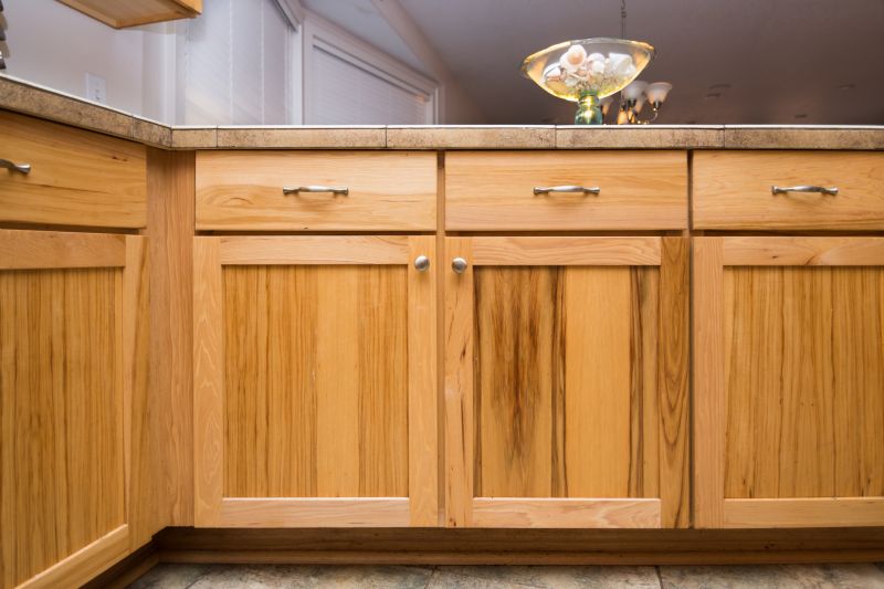Built In Cabinetry Staining in Muncie, IN